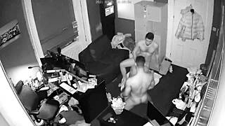 Gay group sex with hot bears in cam