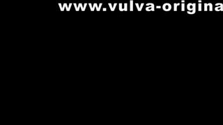 Vulgar scent: a fetish video exploration