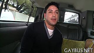 Gay sex videos for free
