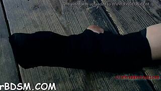 Intriguing brunettes indulge in hardcore BDSM sessions