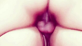 Intimate creampie in various positions and fetishes