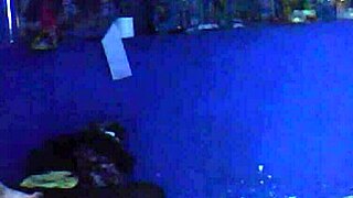 Old wife's husband gets drunk and fucks neighbor on camera
