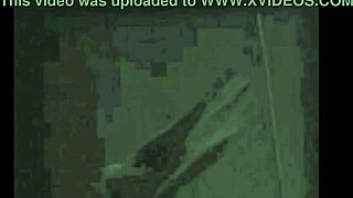 Retro porn video featuring a vintage blowjob and hairy puss