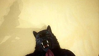 Two gay wolves have sex in this POV video