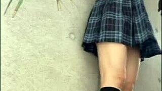 A young Asian woman secretly meets her boyfriend and engages in sexual activity with him