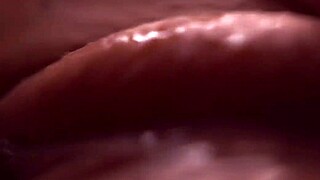 Close-up shots of wet and tight assholes and pussies