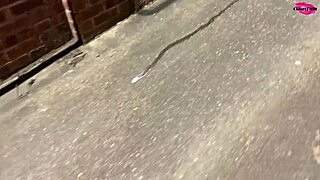 Beautiful women urinate in a compilation