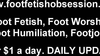 Foot fetish fun with toe sucking and footjob
