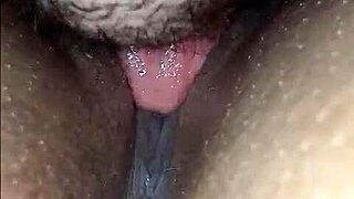 Old man seduces young woman into eating his pussy
