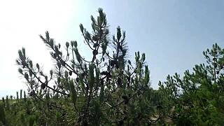 Frankie has an outdoor naturist adventure with a sensual handjob and a fantastic cumshot
