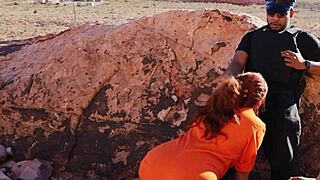 Prison guard gets inmates to perform oral sex on him