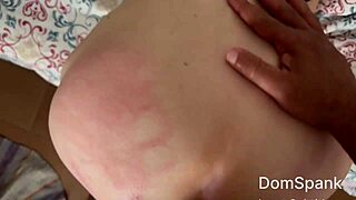 An appetizing girl received hard anal lessons