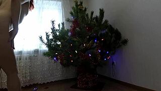Babe is dancing under the Christmas tree