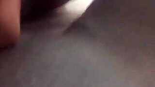Real amateur couple fernanda and pitbull porn in HD