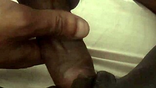 Real amateur couple fernanda and pitbull porn in HD
