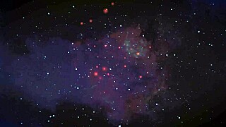 Lelya Feels the Thrill of Being Naked on Camera